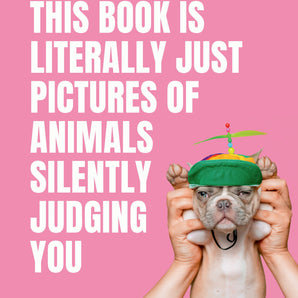 Penguin - Pictures of Animals Judging Book