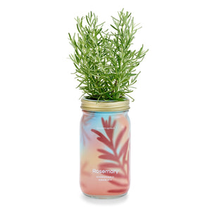 Modern Sprout - Garden Jar