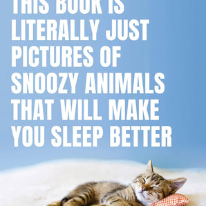 Penguin - This Book Is Literally Just Pictures of Snoozy Animals