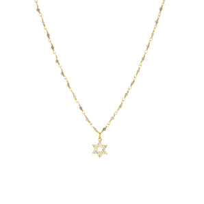 Marlyn Schiff - Labradorite CZ Star of David Necklace